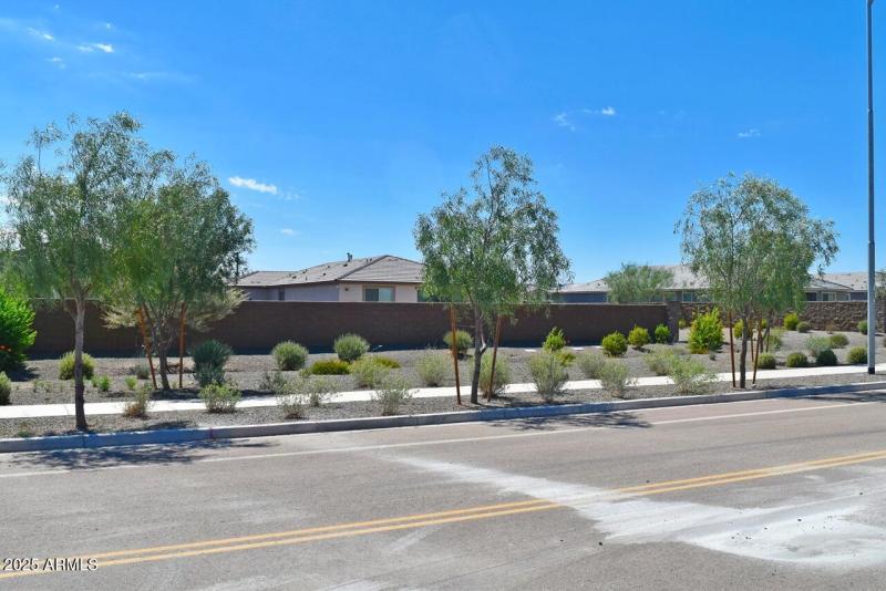 178th Ave Street View landscaping