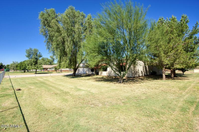 Mature landscaping