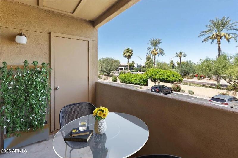 Palm Trees & Sunshine