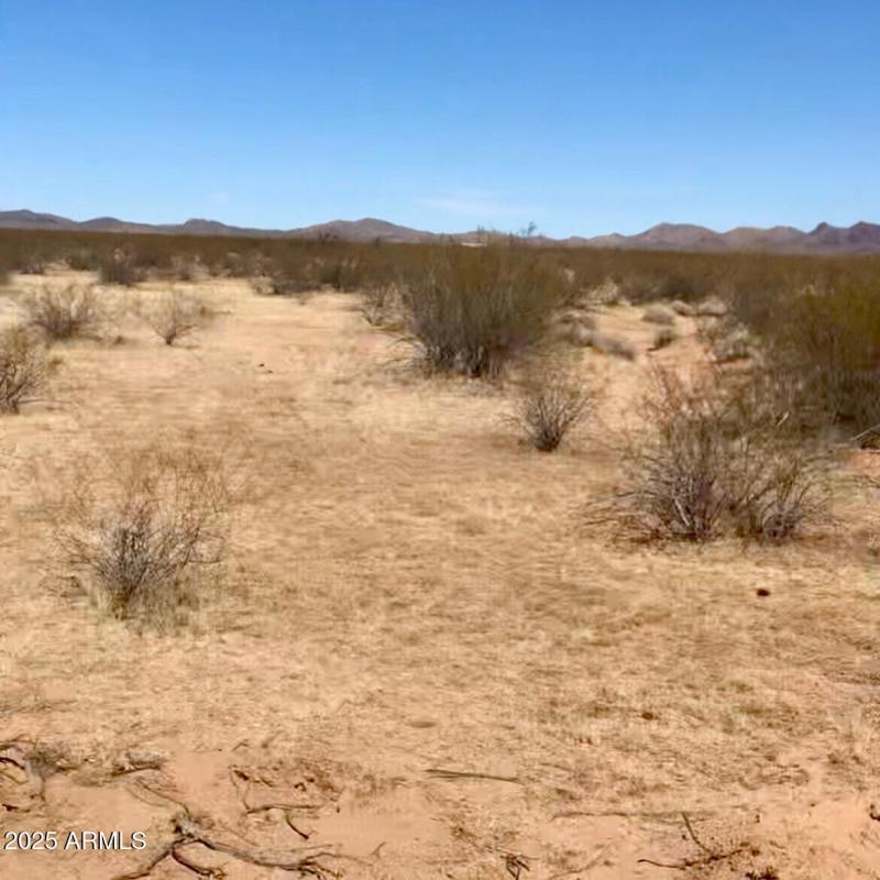 Desert Landscapting