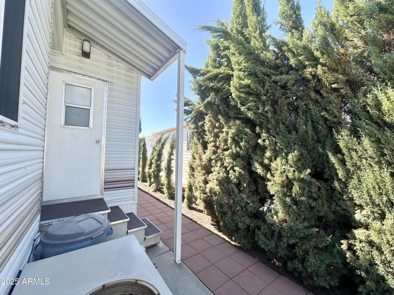 LUSH SHRUBBERY FOR PRIVACY