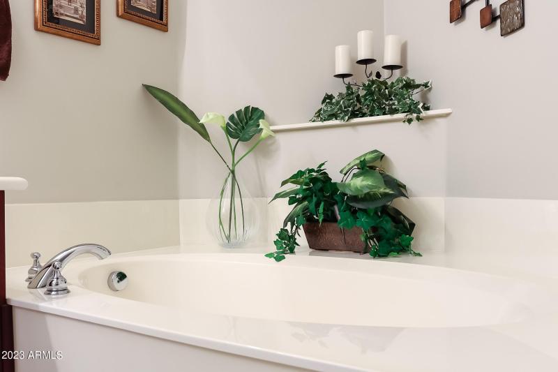 Large Garden Tub