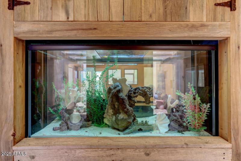 Greeted by your build-in 130 gallon salt