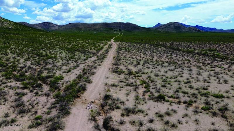 DJI_0791.JPG