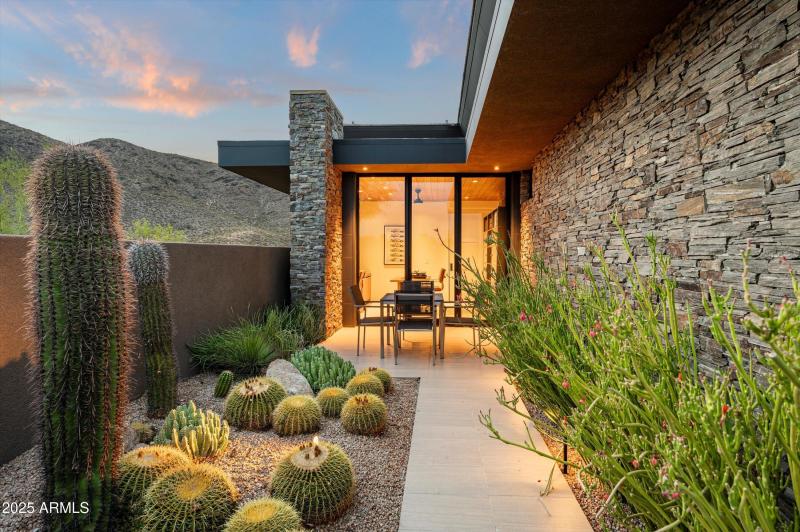 Office Cactus Garden