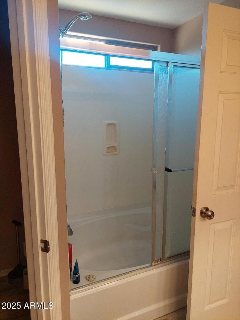 Master shower and tub