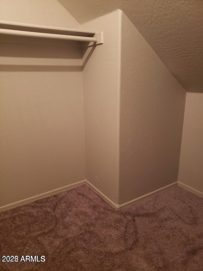 Storage Under Staircase