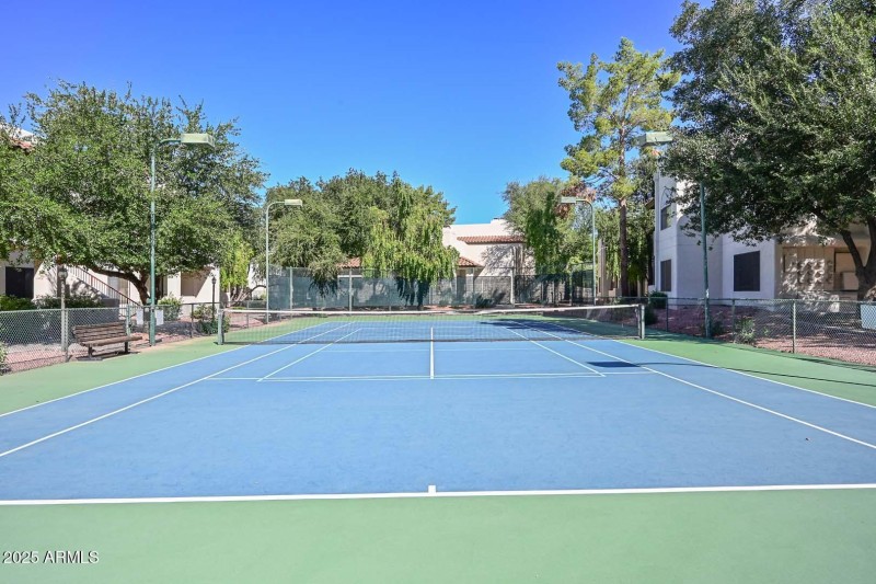Sports Court2