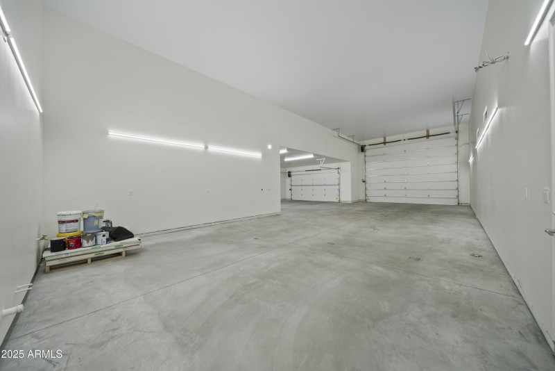 Lupine Ln Reshoot 00011