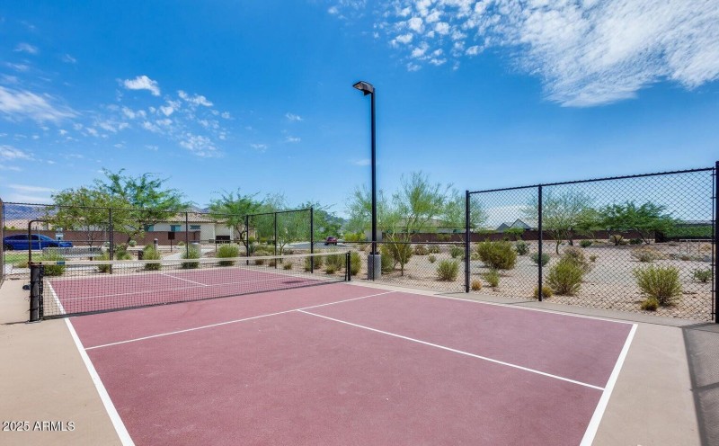 Pickleball Court