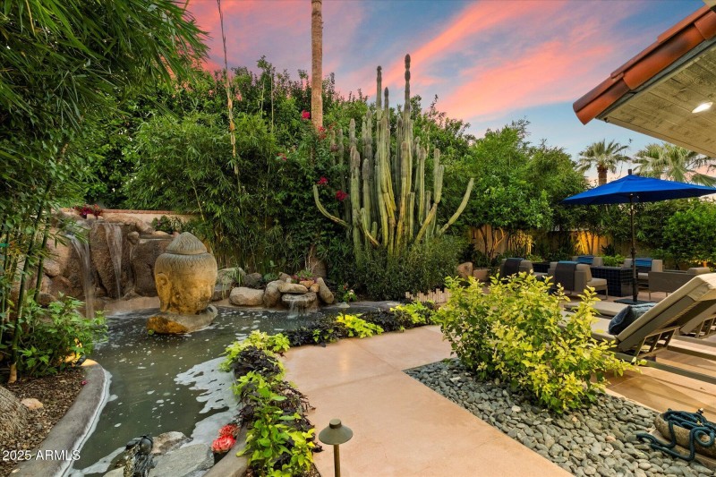 Fully Automated Zen Pond