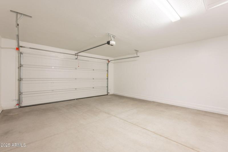 32-web-or-mls-Bittercress-32