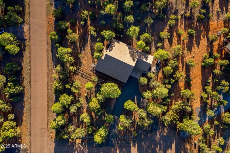 2758JaguarCir-Heber-AZ-42