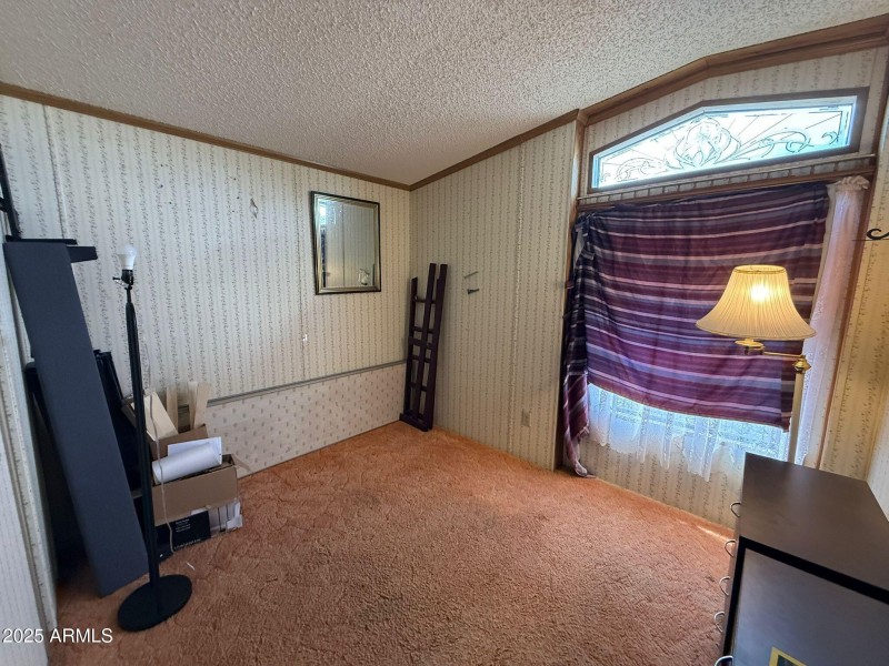 WhatsApp Image 2025-09-18 at 1.45.51 PM