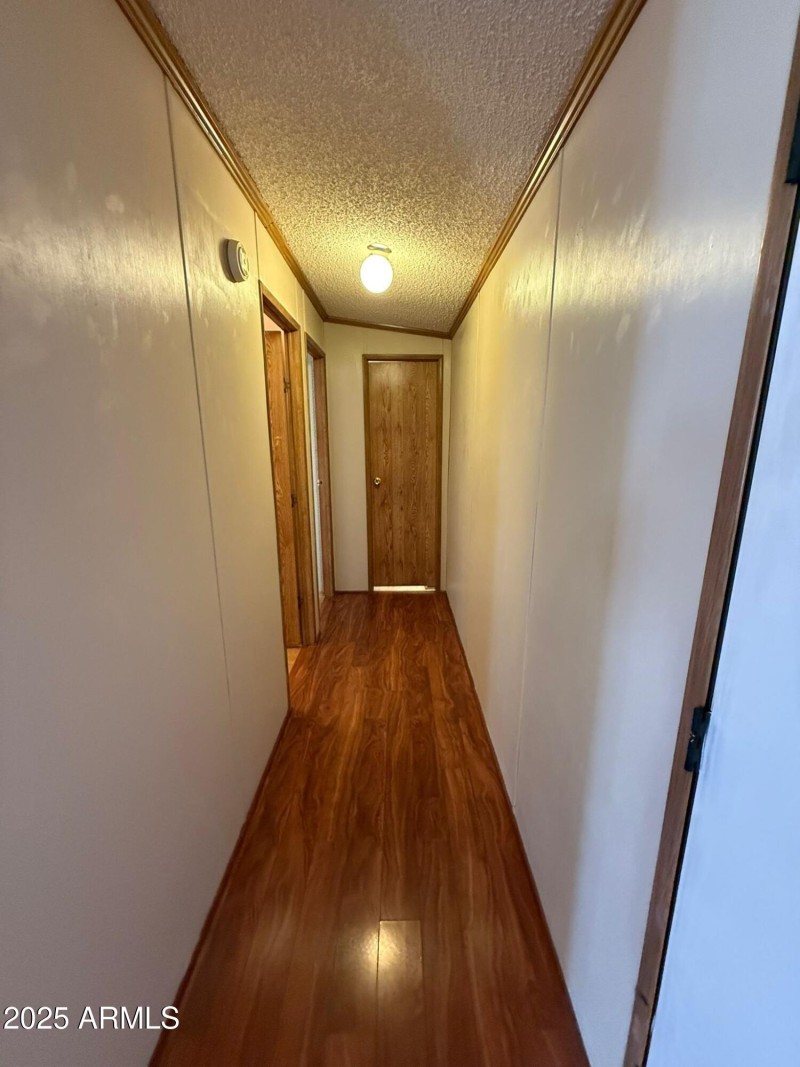 WhatsApp Image 2025-09-18 at 1.45.52 PM