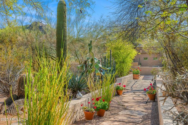 desertscape pathway
