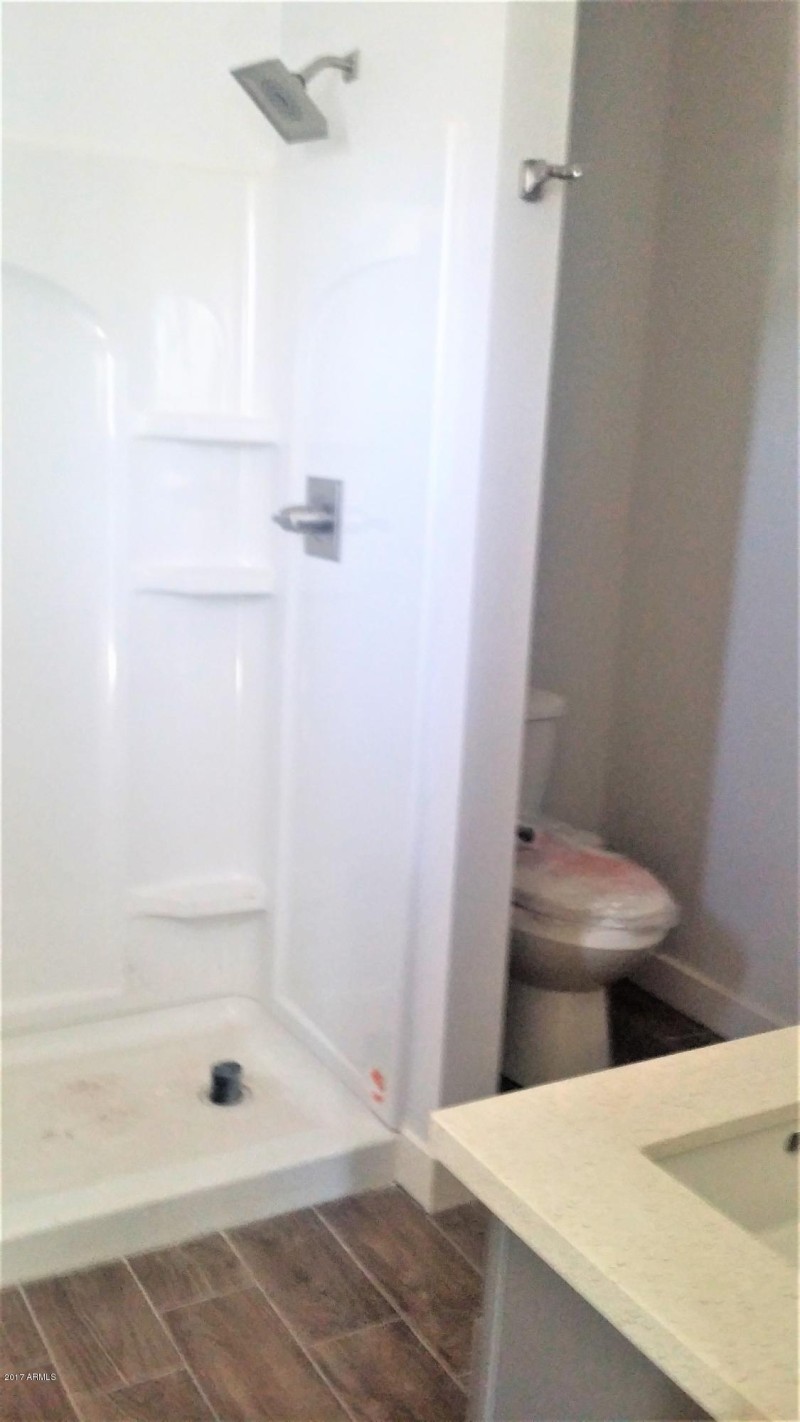 Downstairs Master Walk in Shower