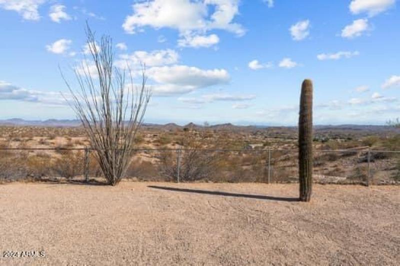 large-0193083a-24e2-7399-8b5c-be59642ad5