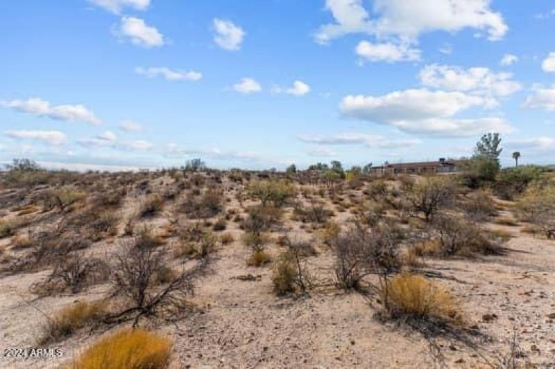 large-0193083a-26c2-7207-836f-3421e10a4d