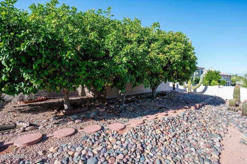 Fruit trees