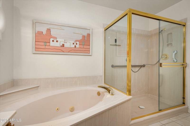 Primary tub and shower