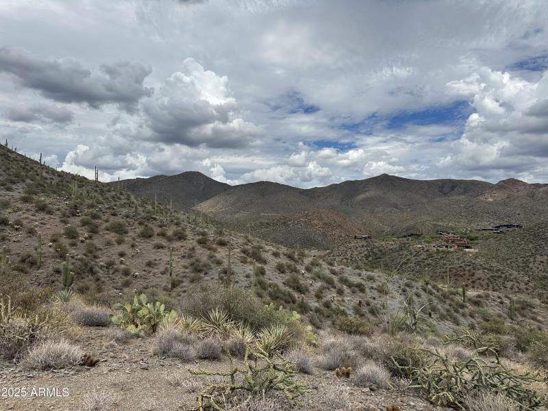 005_Desert Skies