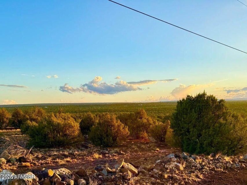 20250926072148608613000000-o