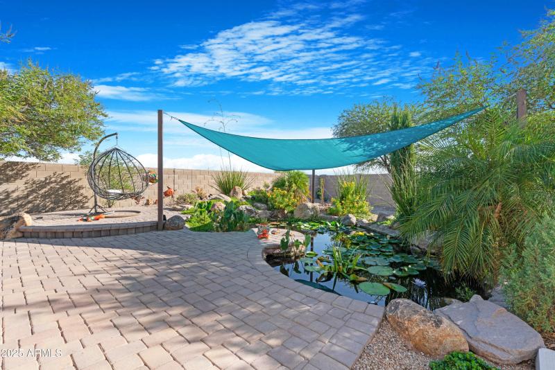 Backyard 3