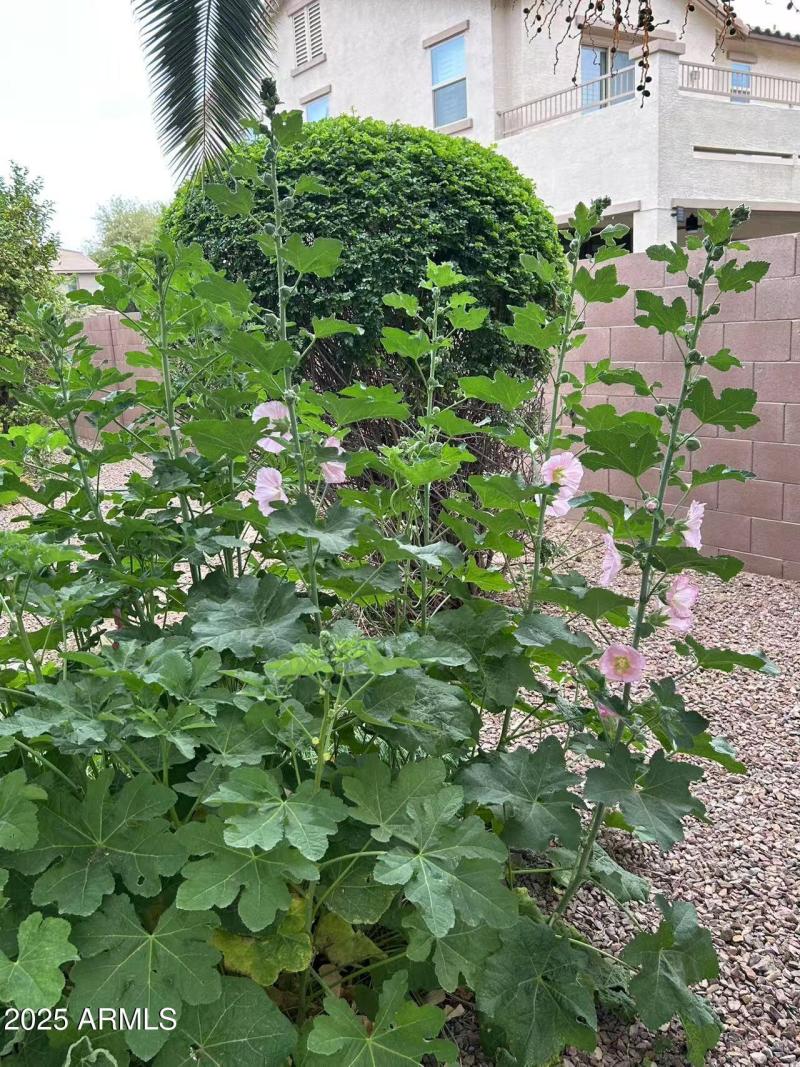 Image_20250420183039