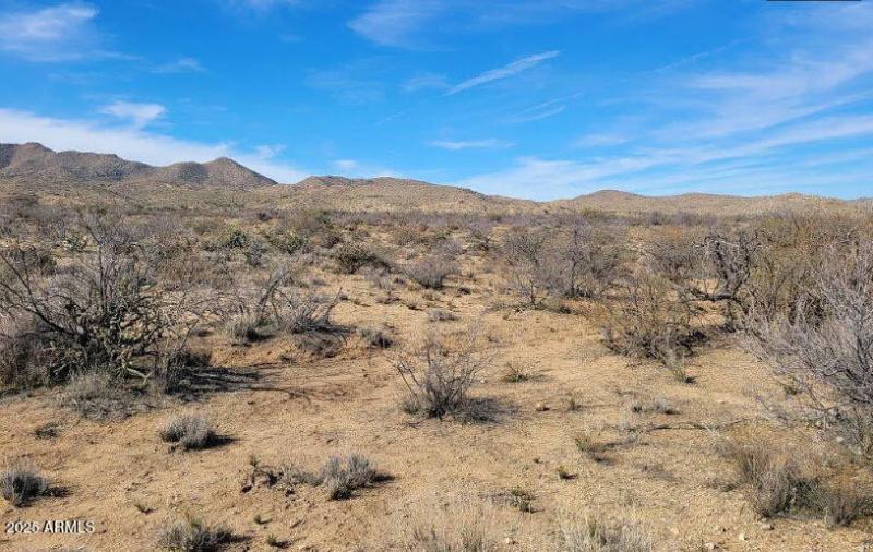 Desert landscape