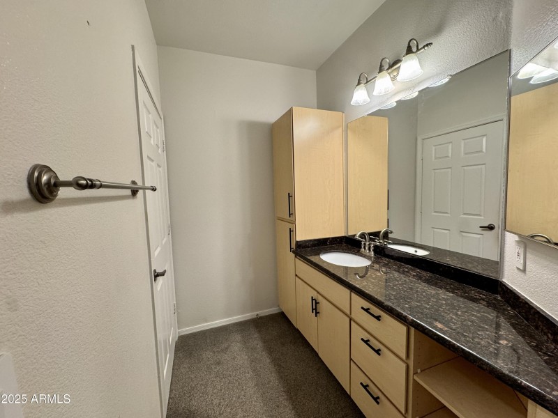 Master Bathroom Sink