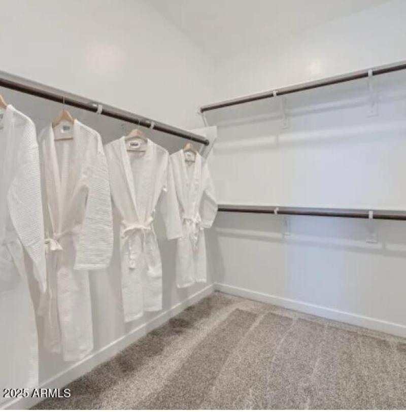 Owner's Walk in Closet
