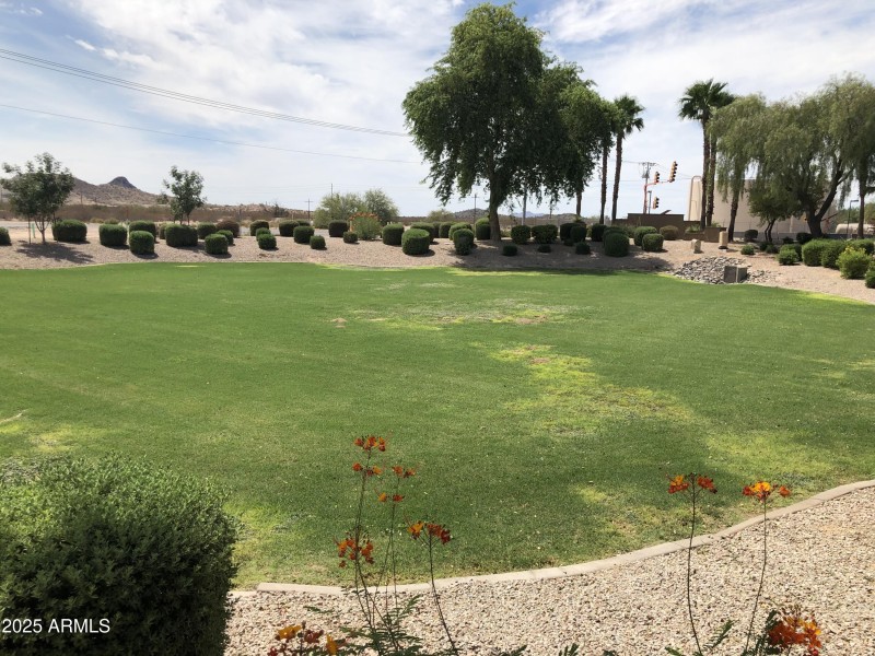 Green Space next to Home_9758