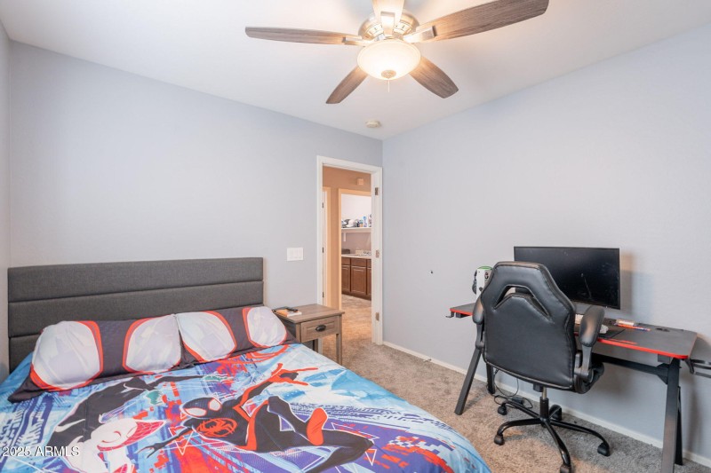 41-web-or-mls-Trellis-41