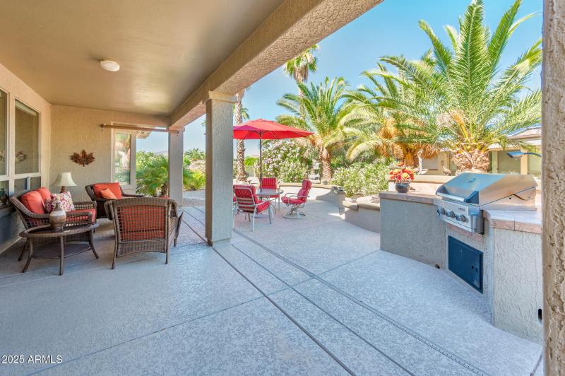 Back Patio/Built-in BarBQ