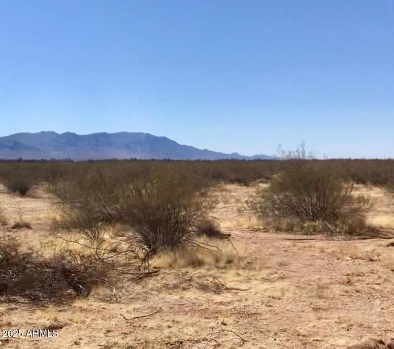 Desert Landscape