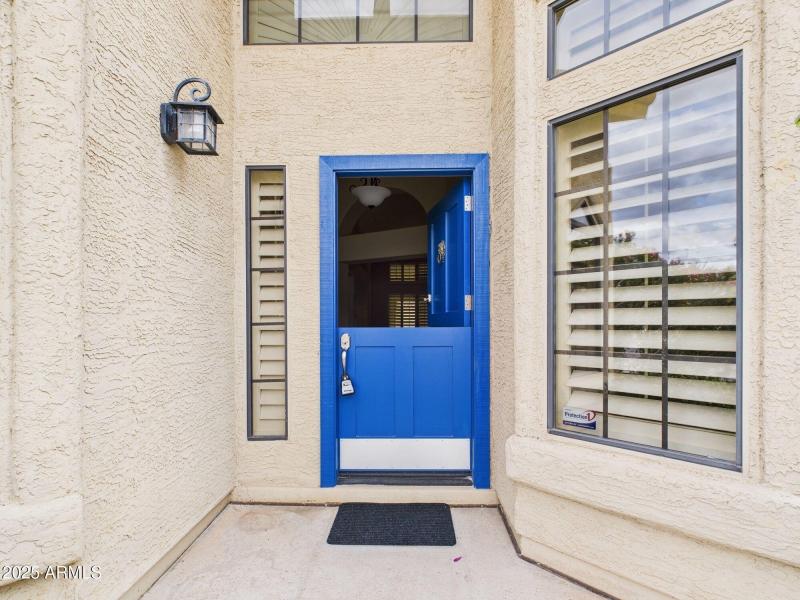 OWNER'S AWESOME FRONT DOOR