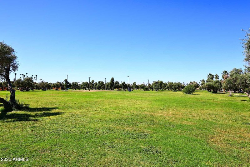 Los Olivos Park2