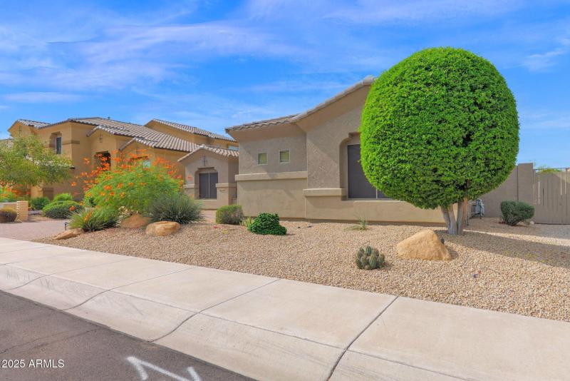 48-web-or-mls-P1303808