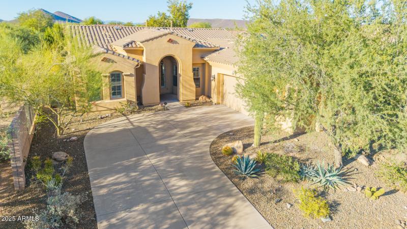 53 - Blackstone Drone