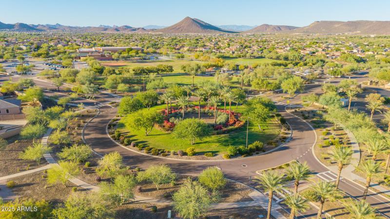 81 - Blackstone Drone