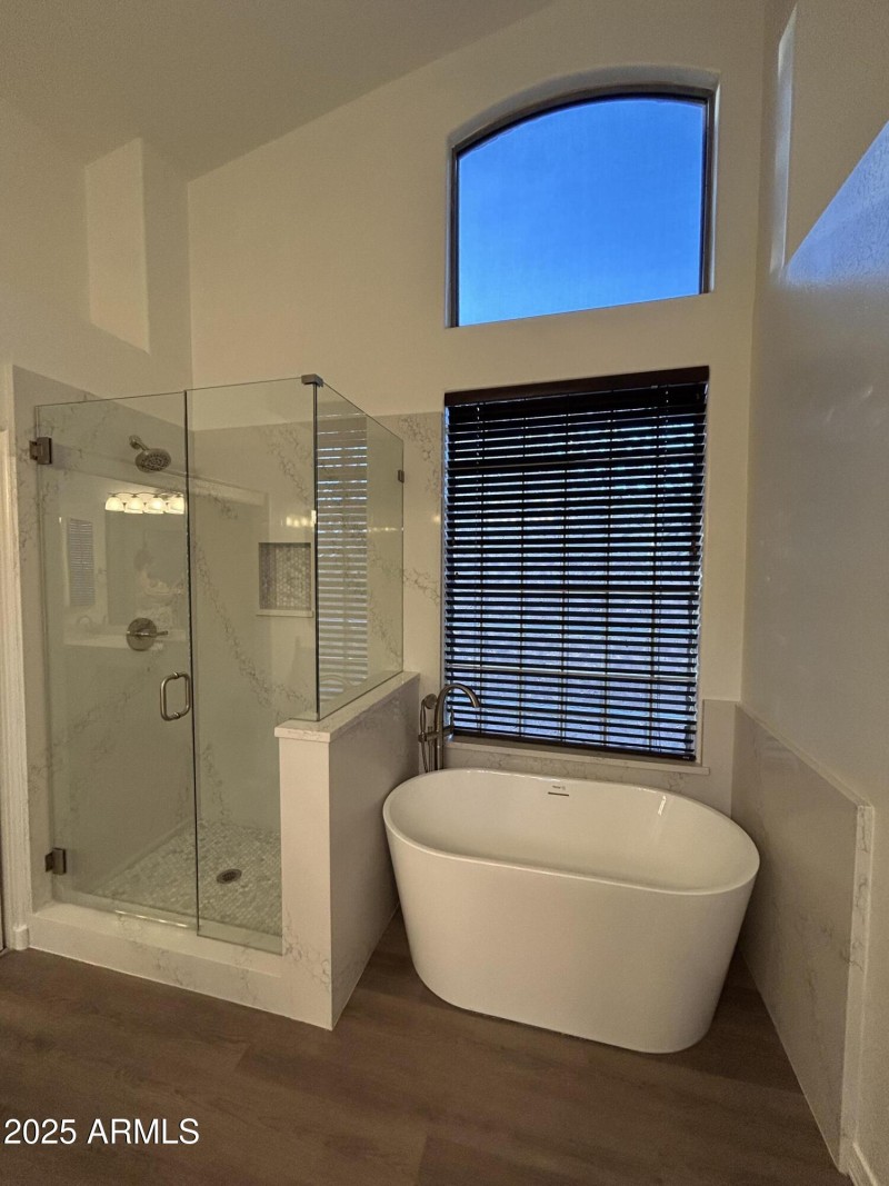 Master Tub & Shower