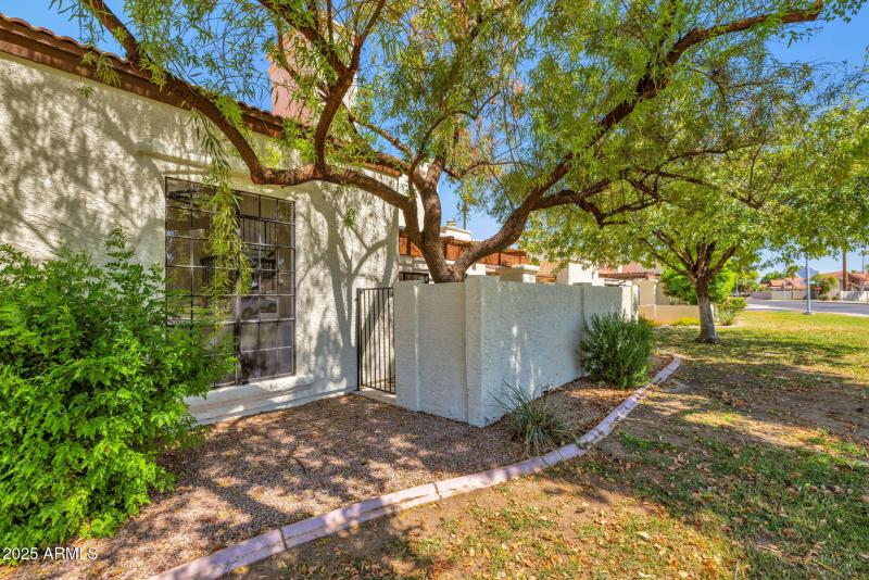 57-web-or-mls-896A8182