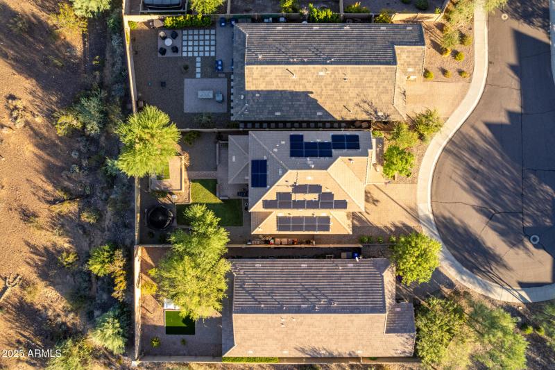 63 Copper Leaf Aerials