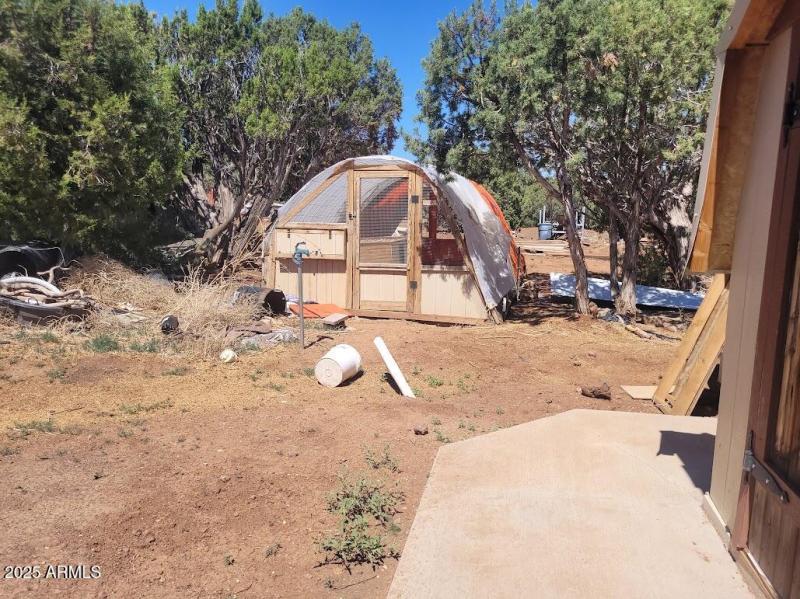 20250606_101641 Smaller Chicken Coop