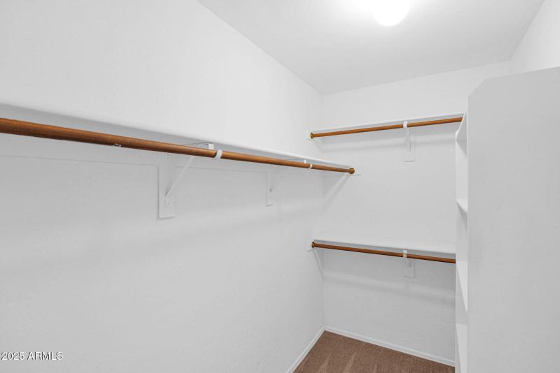 38-web-or-mls-P1315359