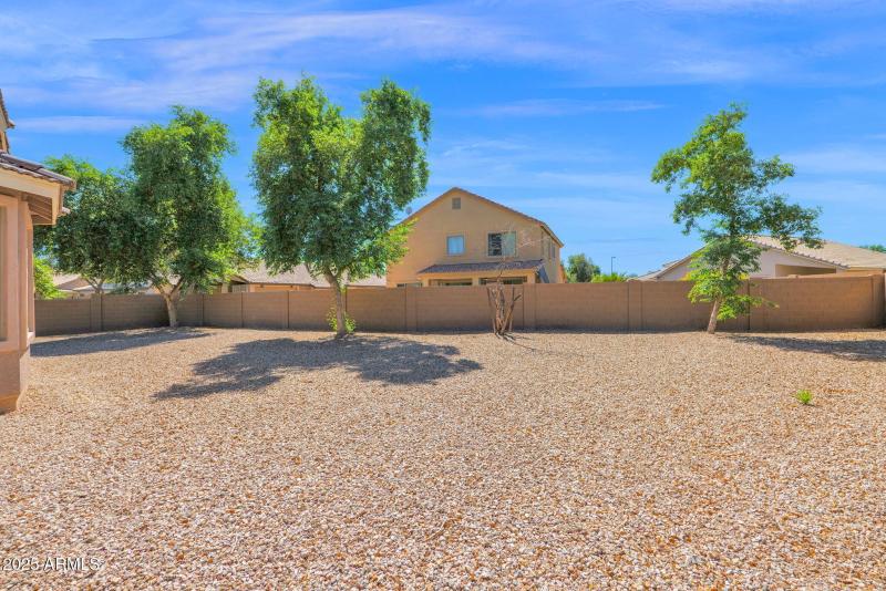 41-web-or-mls-P1315362