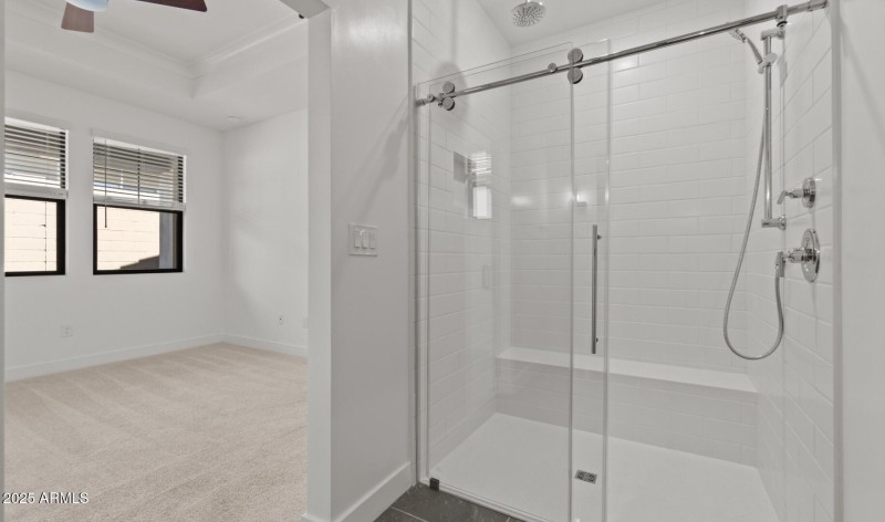 FSVV Lot #47 Primary Bath 2 (Large)