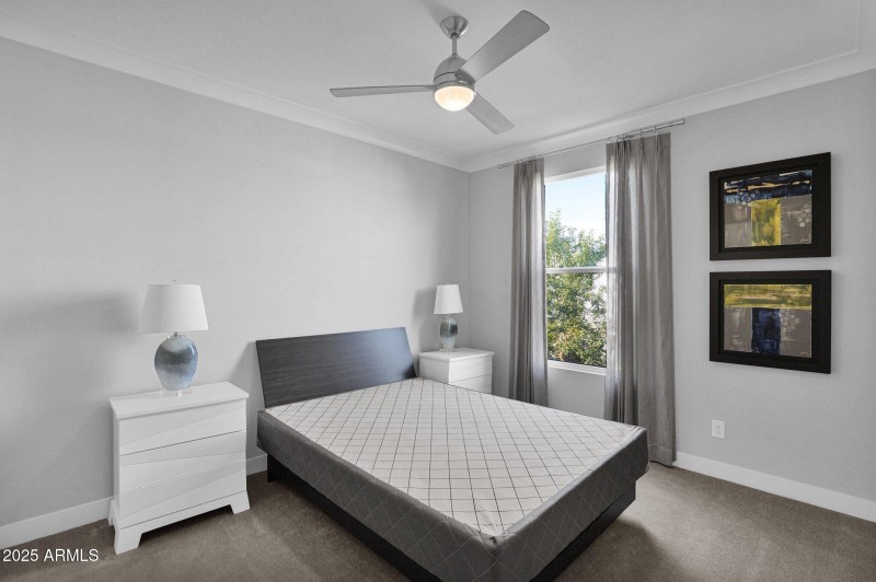 24-web-or-mls-P1048728