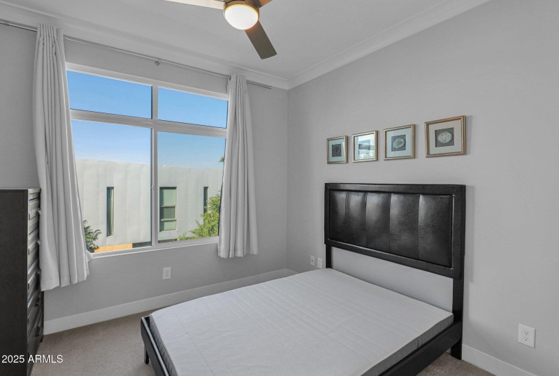 25-web-or-mls-P1048730